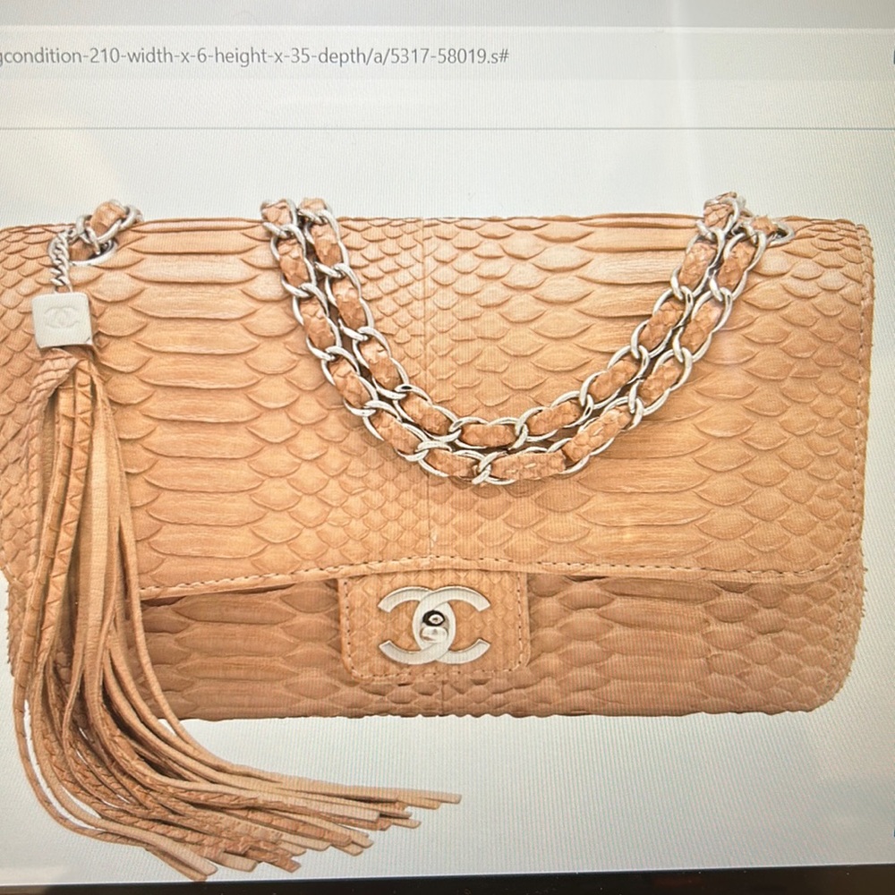 Chanel Beige Python Medium Flap Bag - image 1